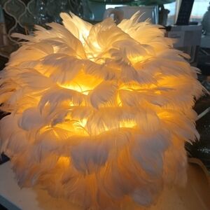 Chic Feather Accent Lamp - Blush